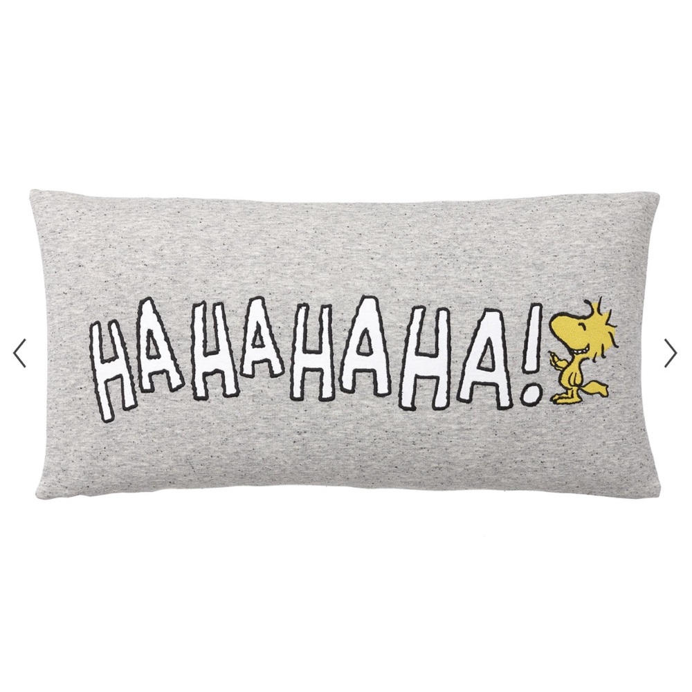 Pottery Barn Teen Peanuts Woodstock Laughing Hahaha pillow cover